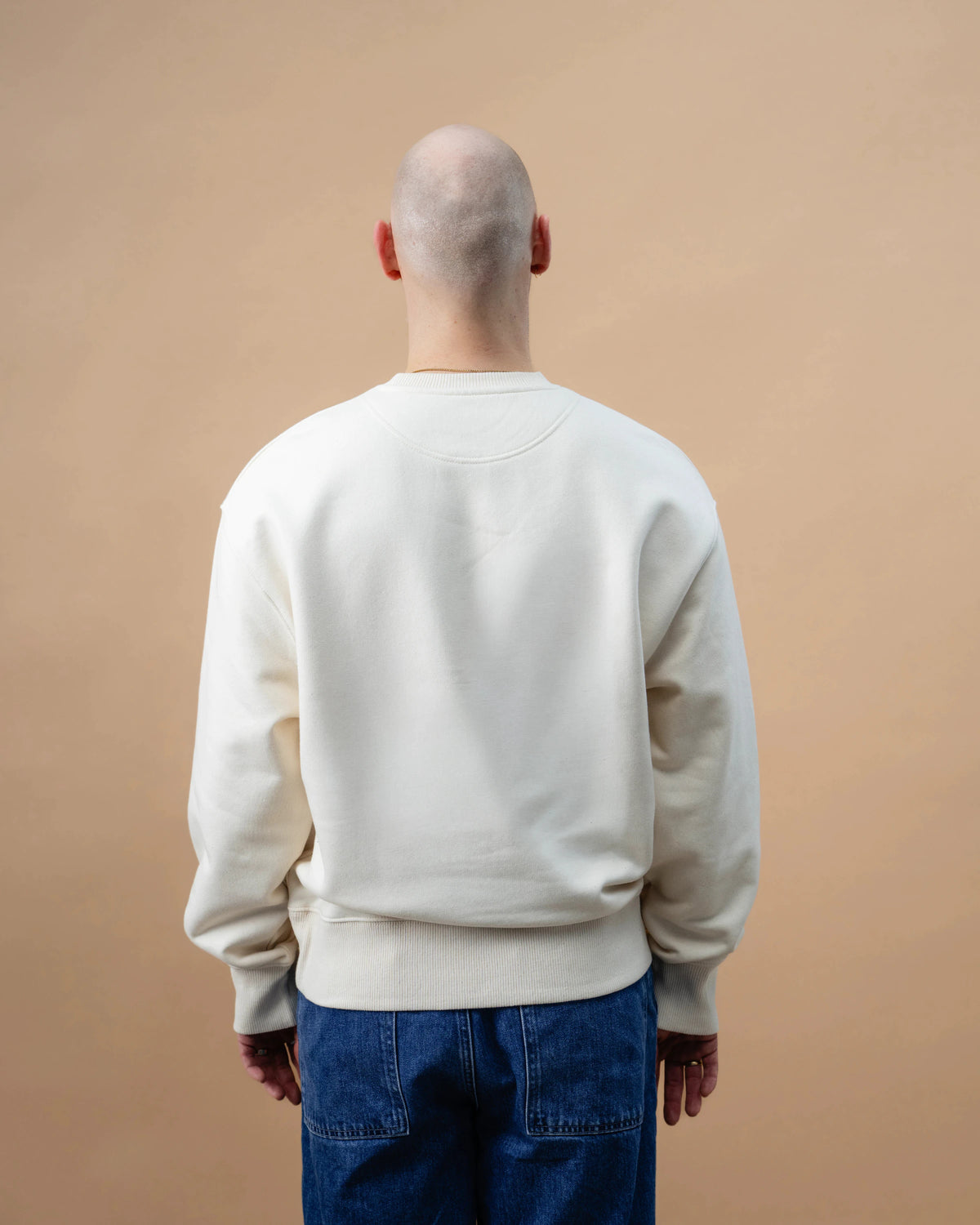 Model wearing a light beige Biweekly crewneck, back view against a beige background
